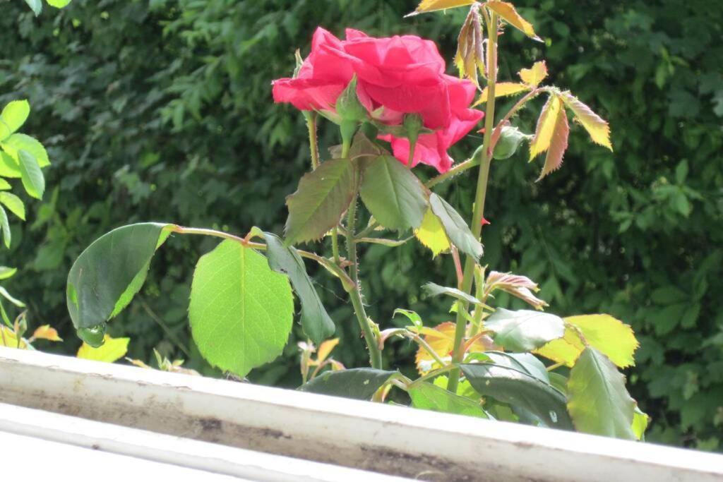 Amboise, Maison De Charme Au Calme Nazelles-Negron Ngoại thất bức ảnh